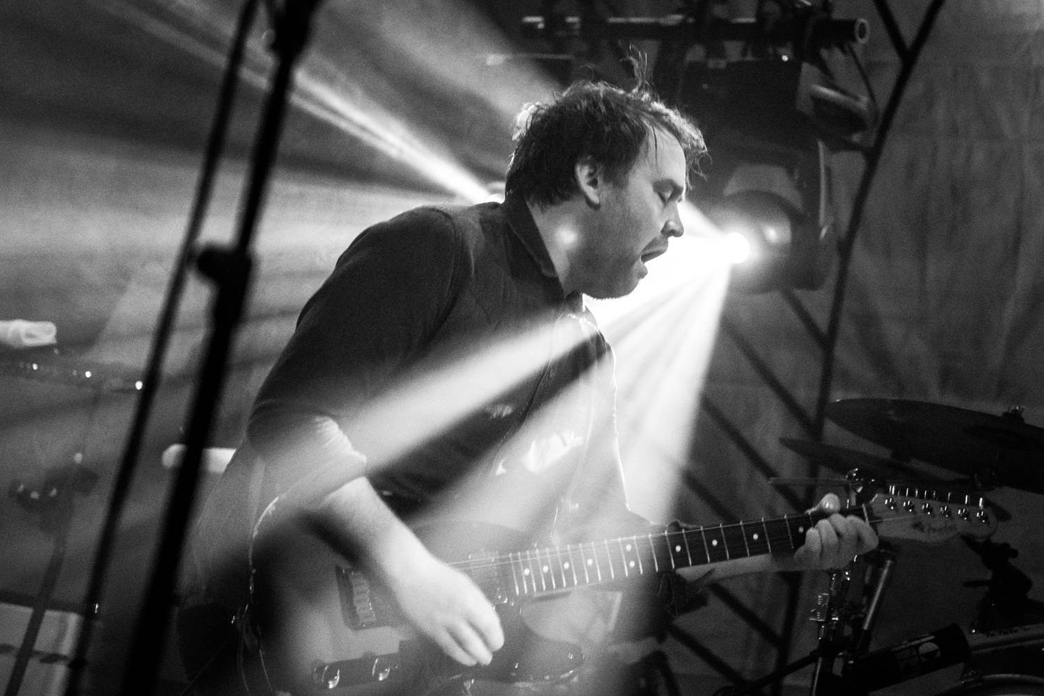 frightened rabbit