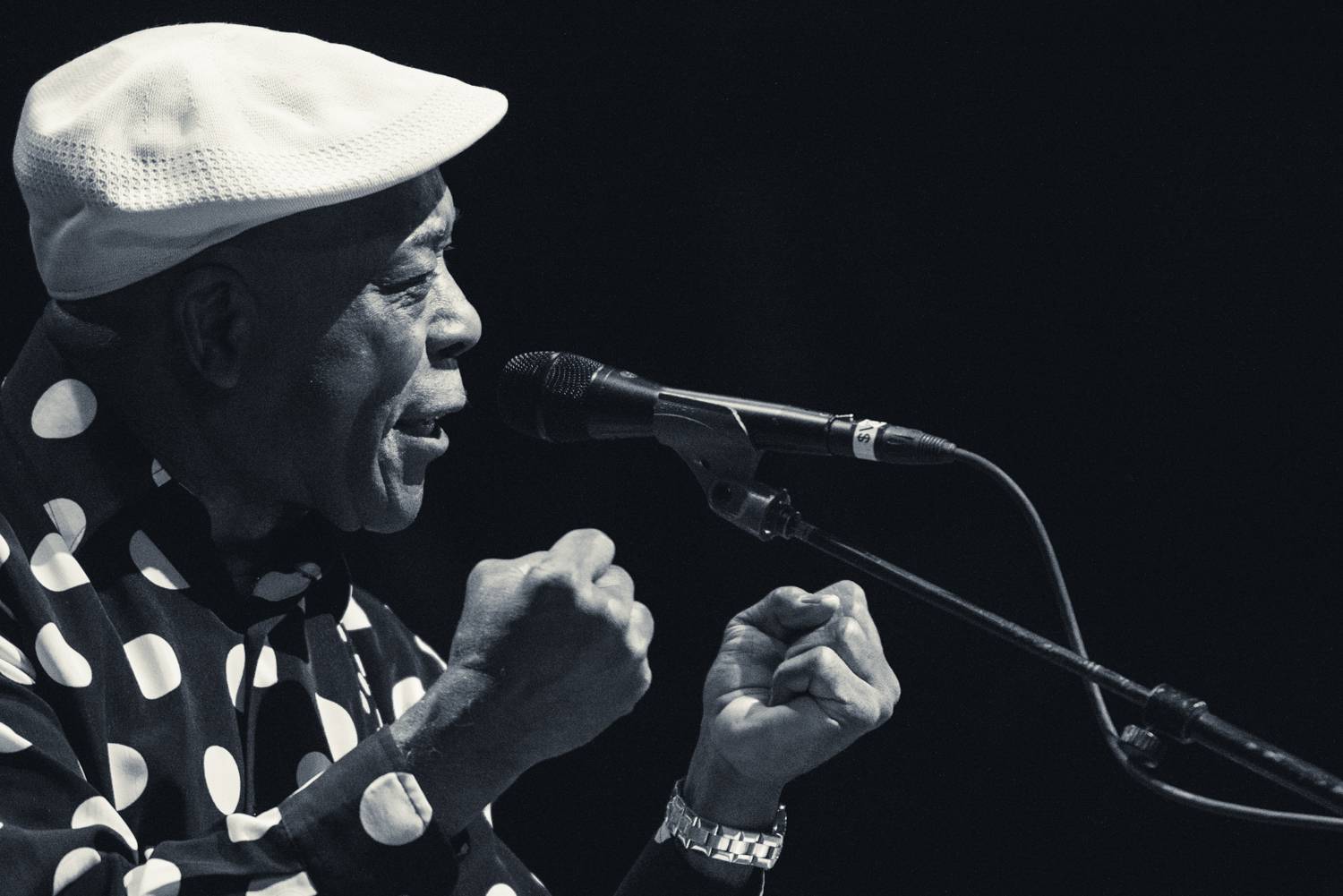 buddy guy