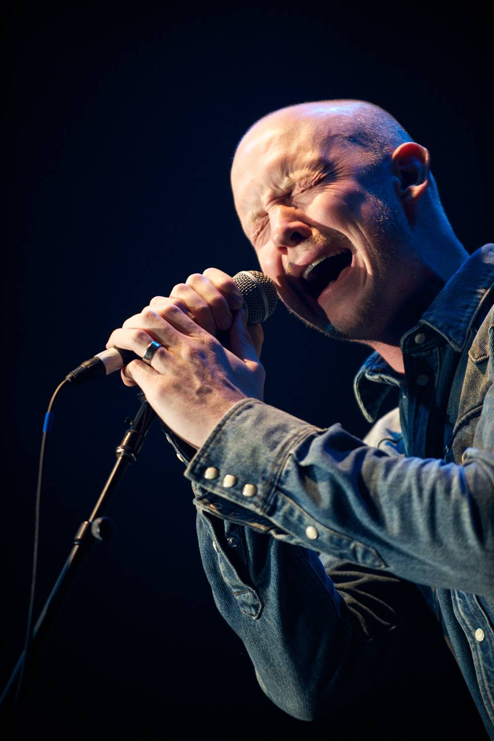 the fray